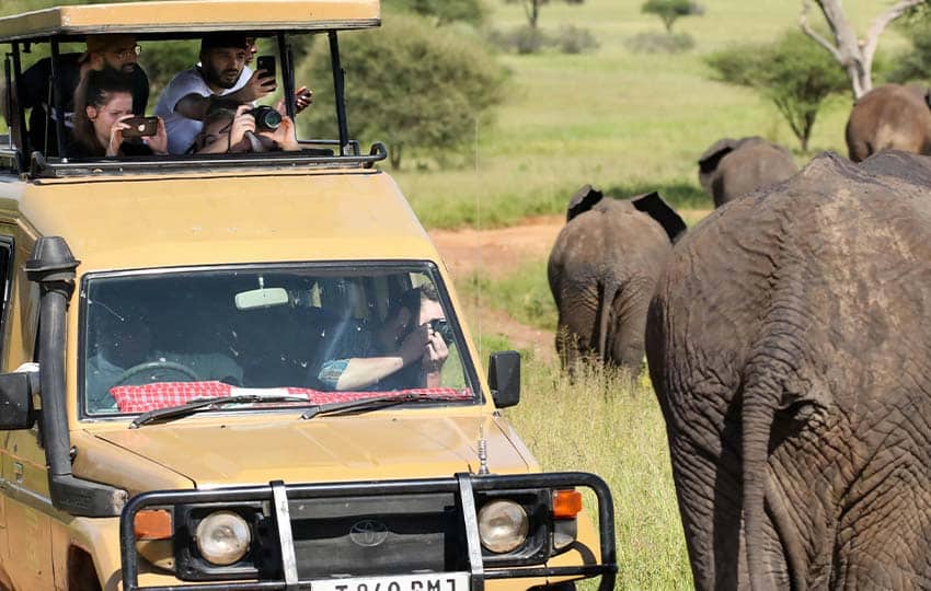 Tanzania Safari Game Drive