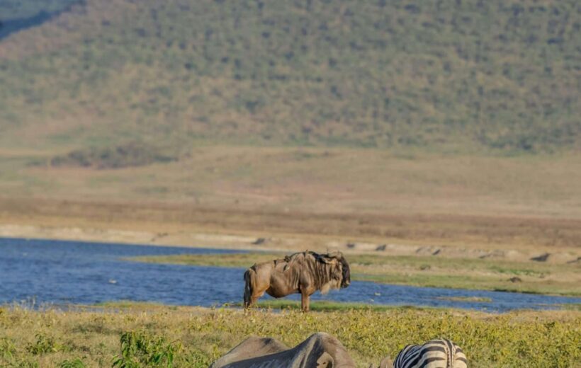 3 Days Tarangire National Park Tanzania Safari